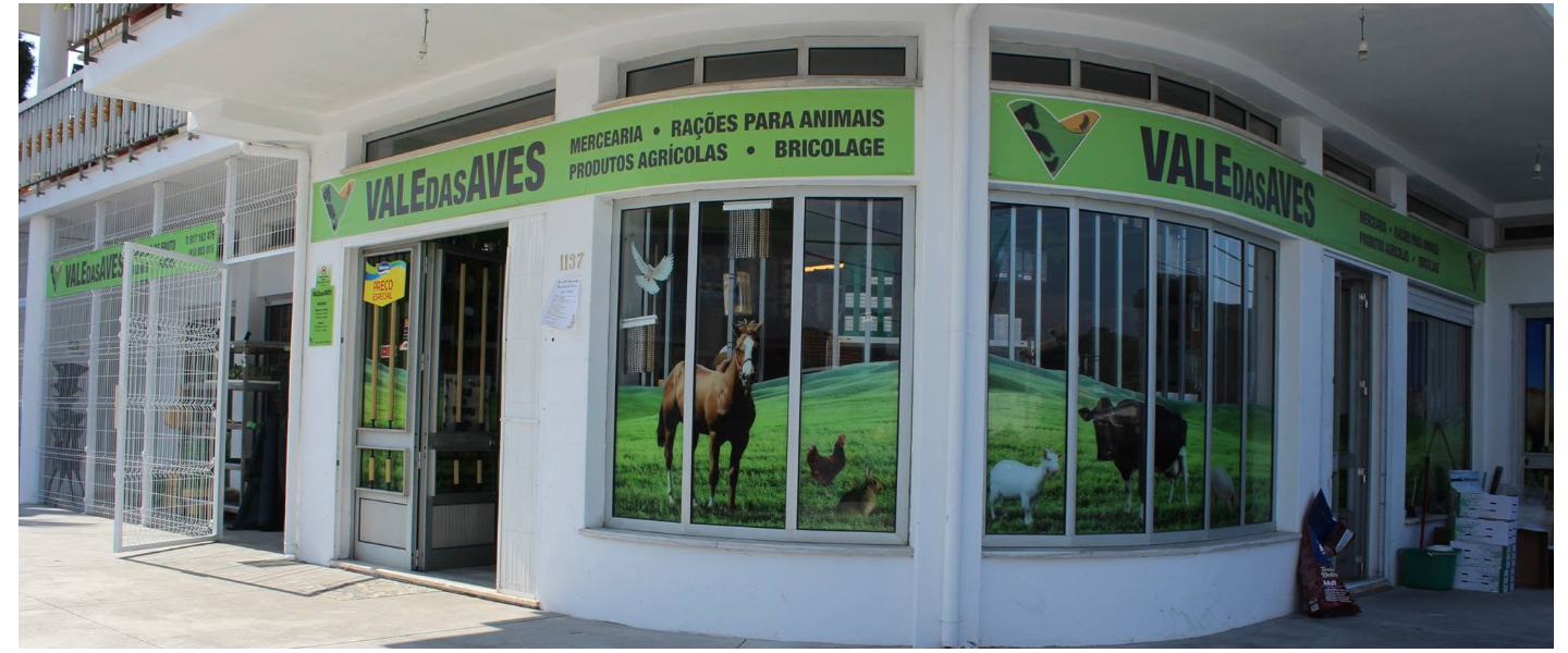 foto_valedasaves
