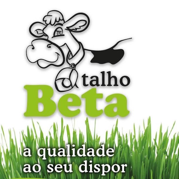 logo_talho beta