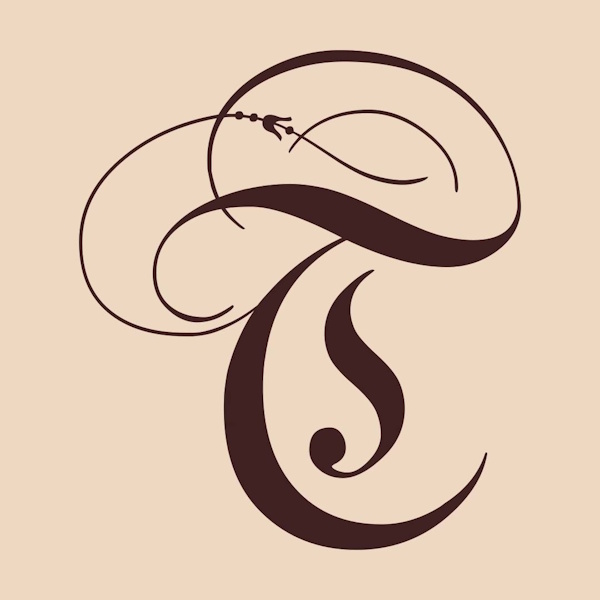 logo_trovador