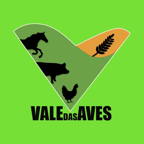 logo_valedasaves