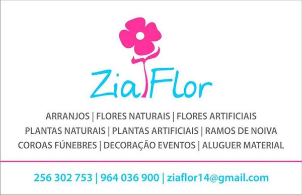 logo_zia